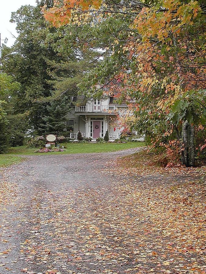 Briarwood Bed & Breakfast Elmsdale Екстер'єр фото
