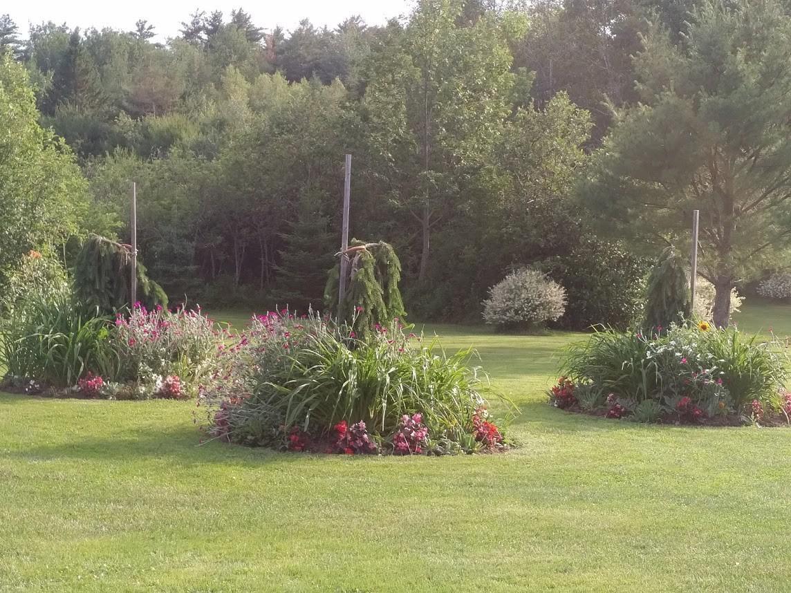 Briarwood Bed & Breakfast Elmsdale Екстер'єр фото
